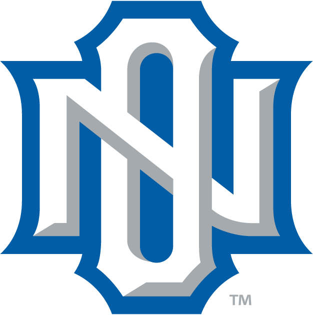 New Orleans Privateers 2013-Pres Alternate Logo v3 diy iron on heat transfer
